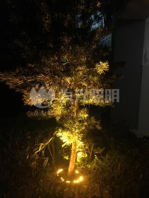 LED洗墻燈,窗臺燈,LED地埋燈,水底燈,LED步道燈首選為光照明！