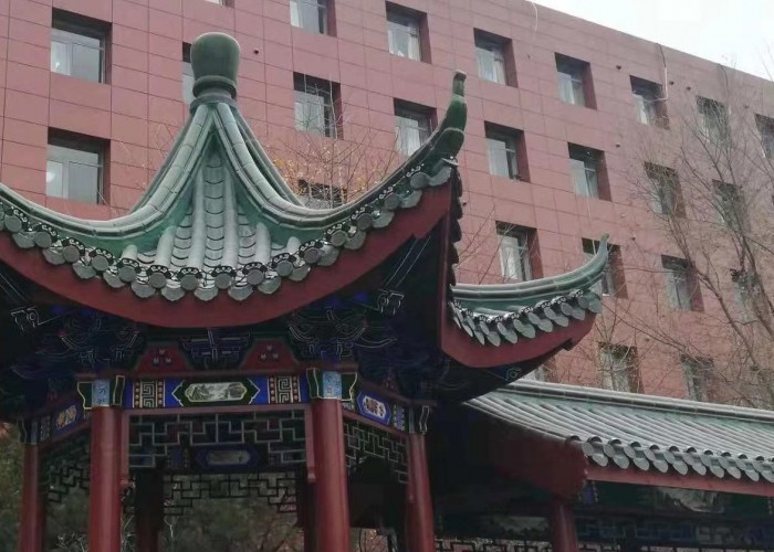 泰安蔡家莊廣場亮化